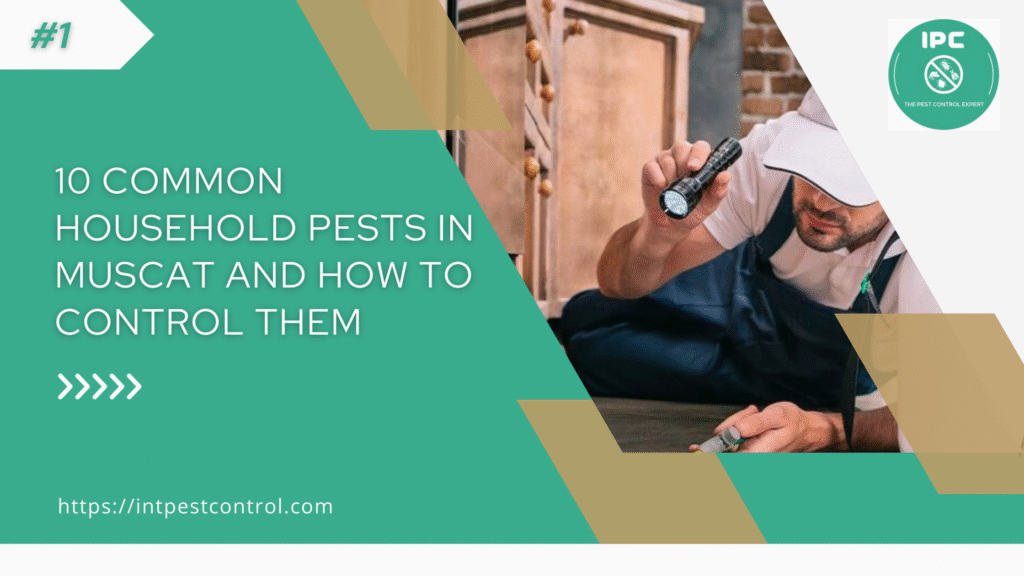 10 Common Household Pests in Muscat and How to Control Them | Effective Pest Solutions