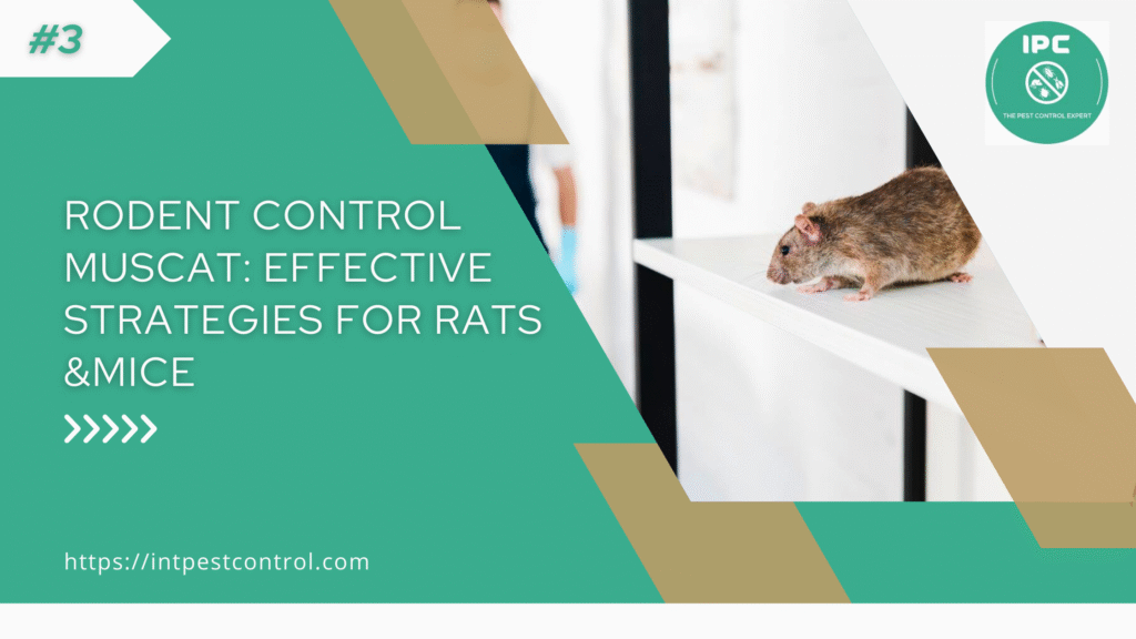 Rodent Control Muscat: Effective Strategies for Rats & Mice Awareness
