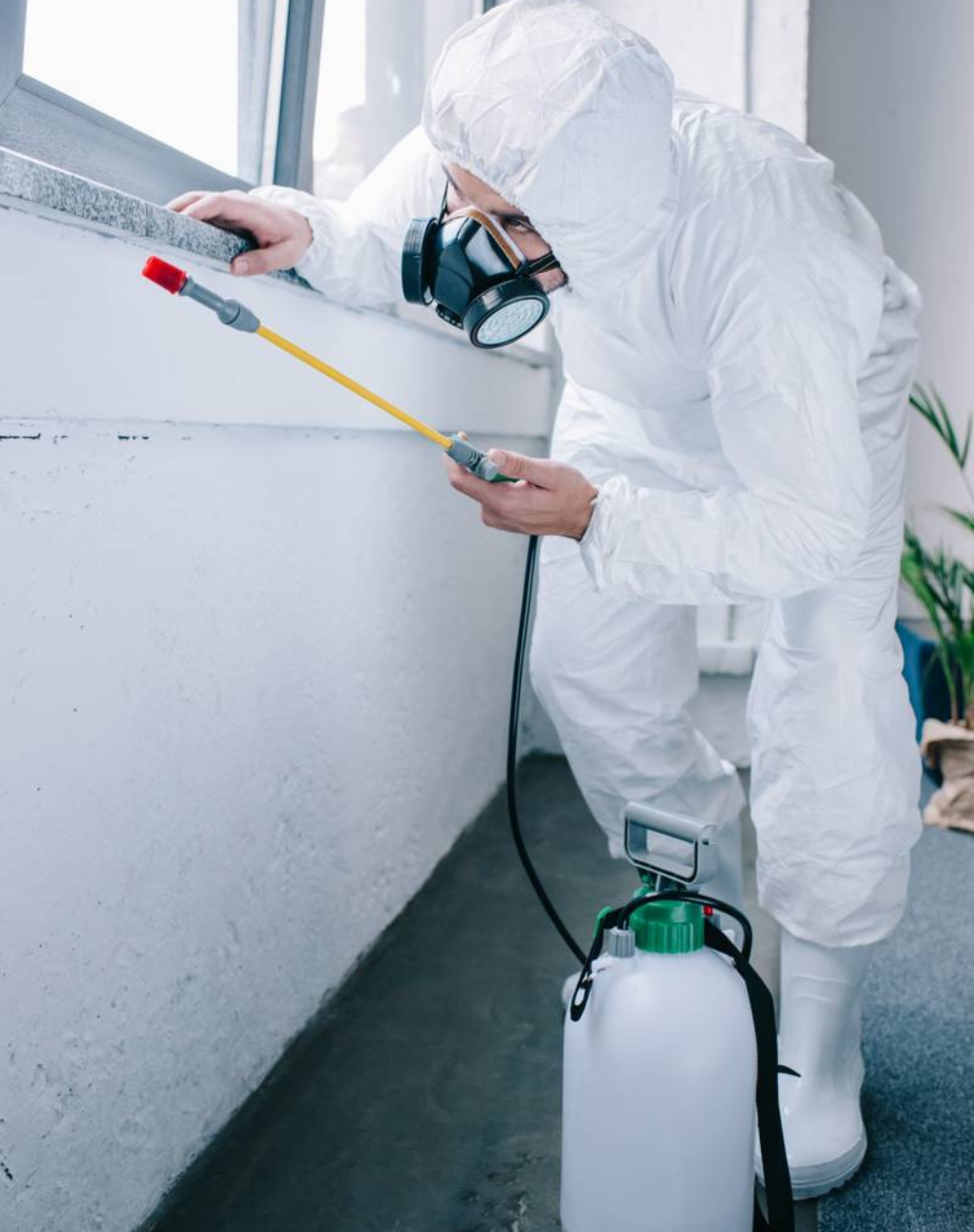 Why choose International Pest Control IPC for pest control Muscat services