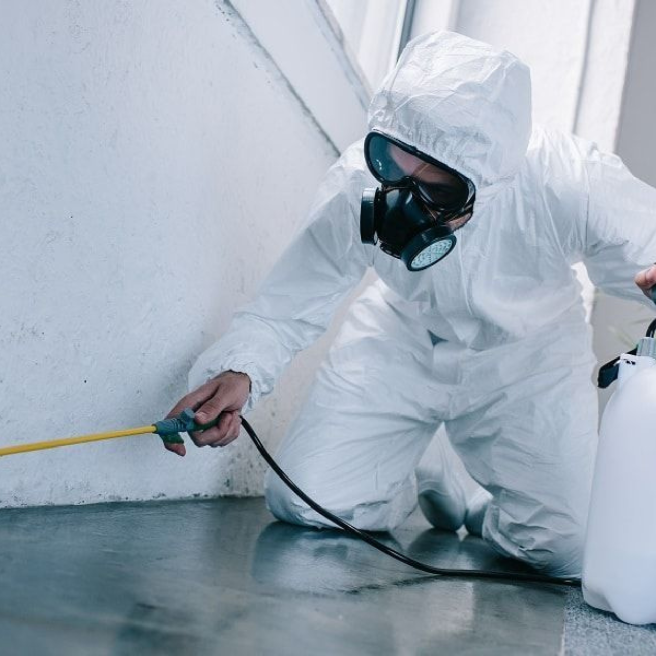 Reliable pest control services in Muscat by IPC trusted team