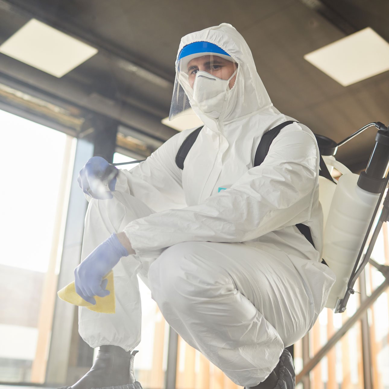 Best Pest Control in Muscat | Trusted Pest Control Company – IPC