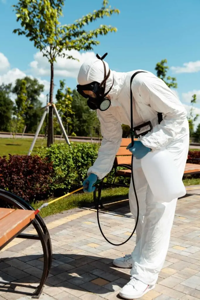 Best Pest Control in Muscat | Trusted Pest Control Company – IPC