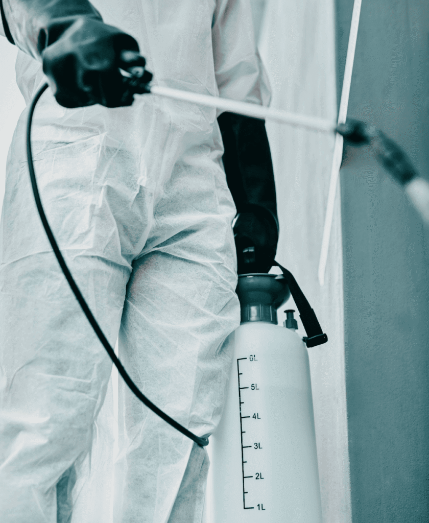 Customer reviews of pest control services in Muscat by International Pest Control IPC